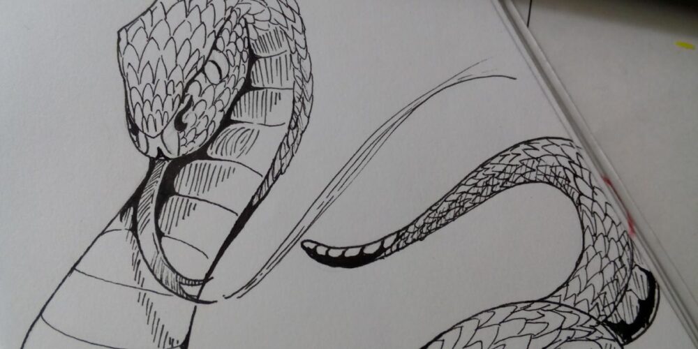 Comment dessiner un serpent facilement ? BS
